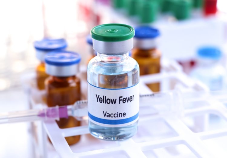 Yellow Fever Vaccination: Everything You Need to Know